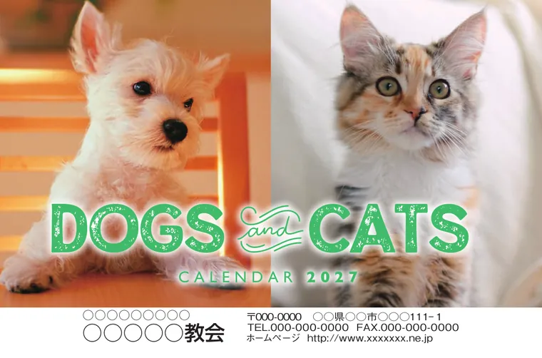 ドッグス＆キャッツ