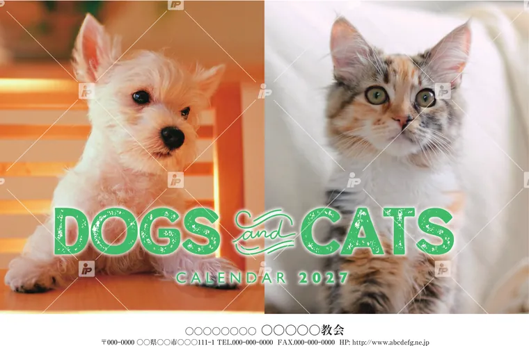 ドッグス＆キャッツ
